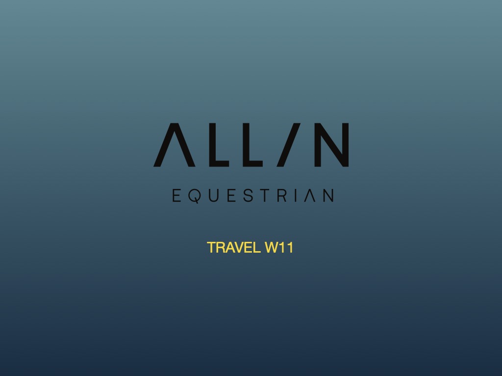 ALLIN image 1